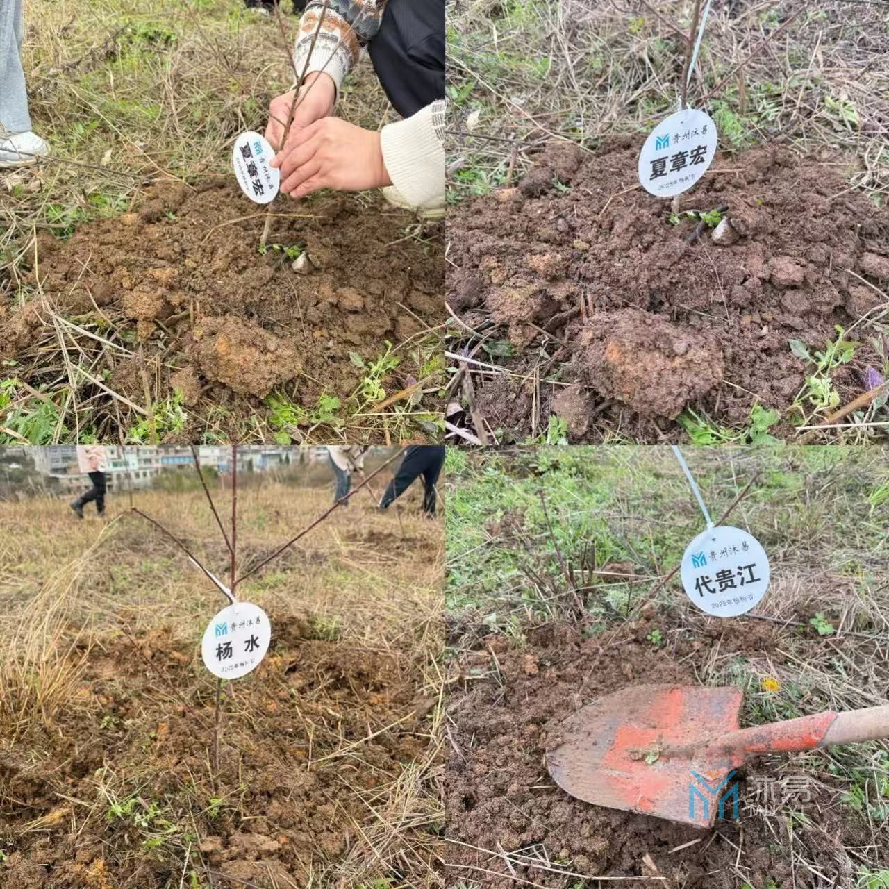 贵州两山投资公司2025植树节活动(图3)