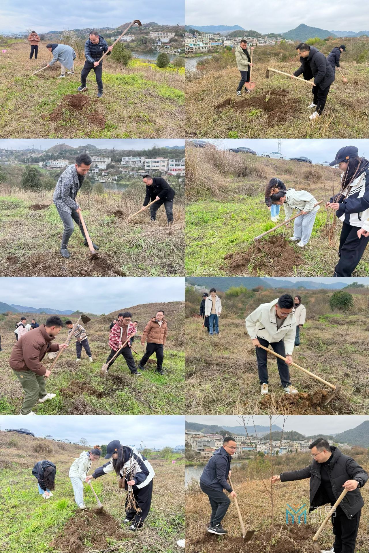 贵州两山投资公司2025植树节活动(图2)