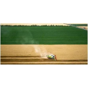 【政策解读】关于农业高质量发展（二十大报告农业板块）