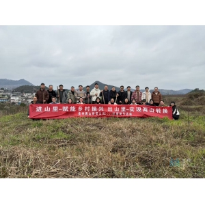 贵州两山投资公司2025植树节活动
