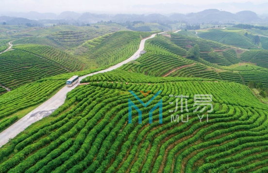 平塘县“十四五”农业农村现代化规划(图2)